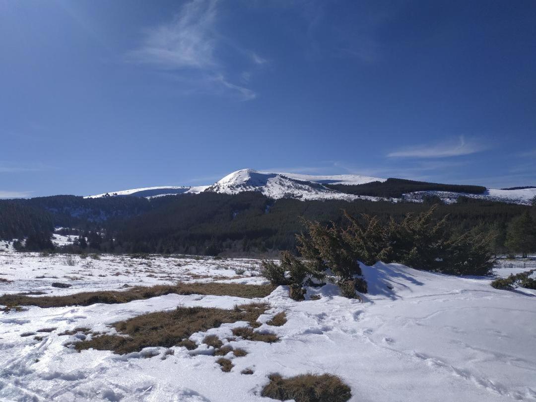 Nid Sous Le Volcan Saint-Sandoux Exterior foto